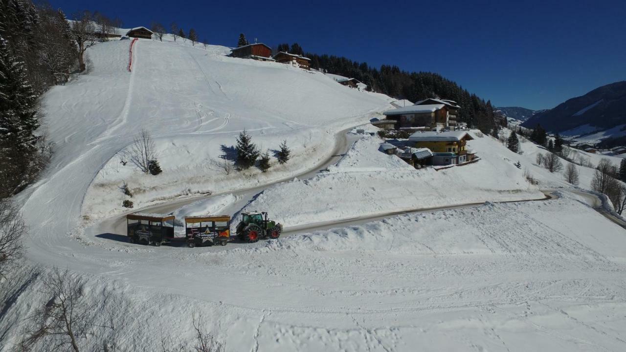 Ski In-Ski Out - Gaestehaeuser Saalbach-Hinterglemm - Wallegghof Christianhof المظهر الخارجي الصورة